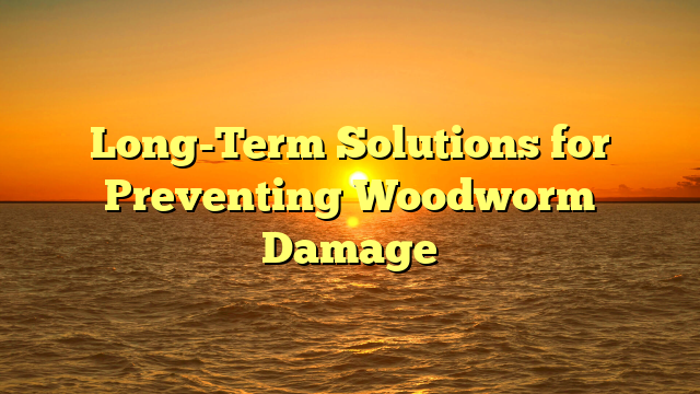 Long-Term Solutions for Preventing Woodworm Damage